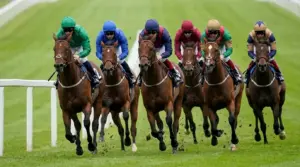 Each-Way Betting UK Horse Racing: Place Fractions and Maths